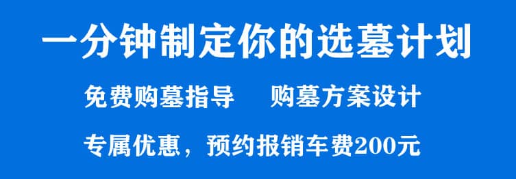 購墓指導(dǎo)、方案策劃