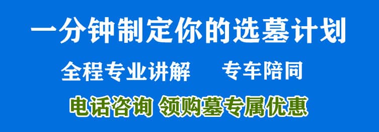 購墓指導、方案策劃