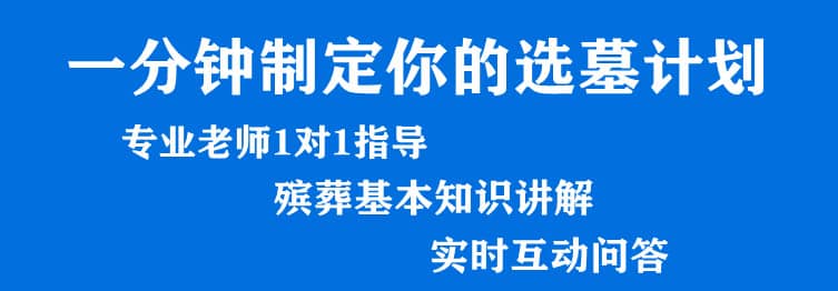購墓指導(dǎo)、方案策劃