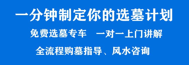 購墓指導(dǎo)、方案策劃