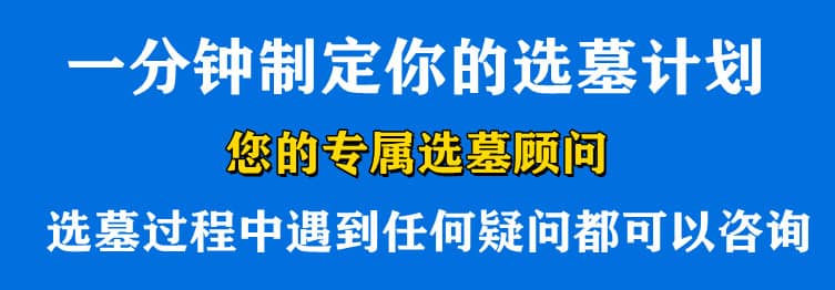 購墓指導(dǎo)、方案策劃