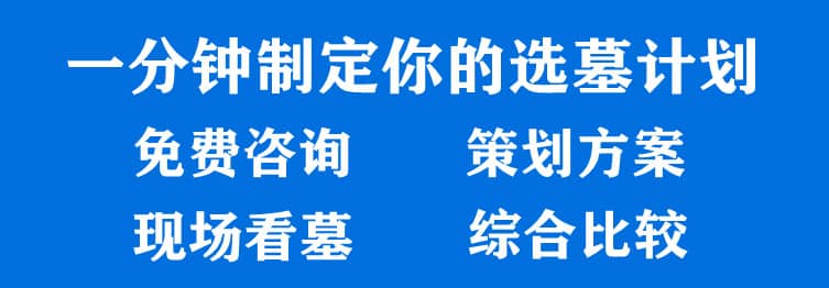 購墓指導(dǎo)、方案策劃