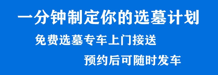購墓指導(dǎo)、方案策劃
