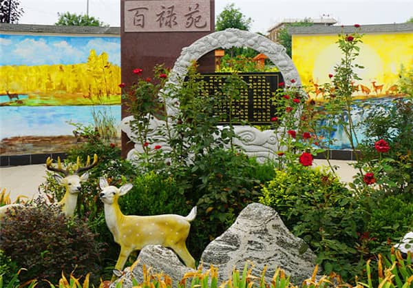 西安漢皇樹葬墓園提供了哪些安葬類型的墓位？