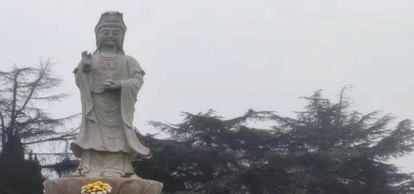 除了752路公交車外，從韋曲地區(qū)前往西安鳳棲山墓園南區(qū)還有哪些其他交通方式可供選擇？