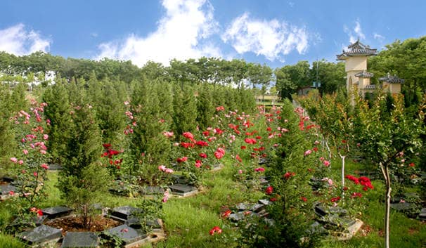 西安鳳棲山人文紀(jì)念園如何打造一個(gè)綠色、生態(tài)、可持續(xù)發(fā)展的紀(jì)念園？