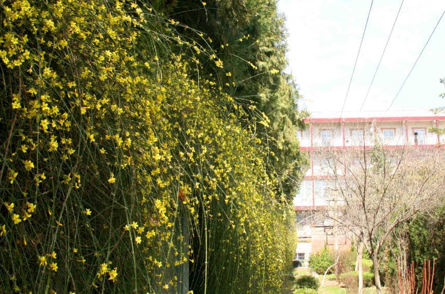 如果客戶因個(gè)人原因需要退定西安鳳棲山墓園的福位，應(yīng)該如何操作？