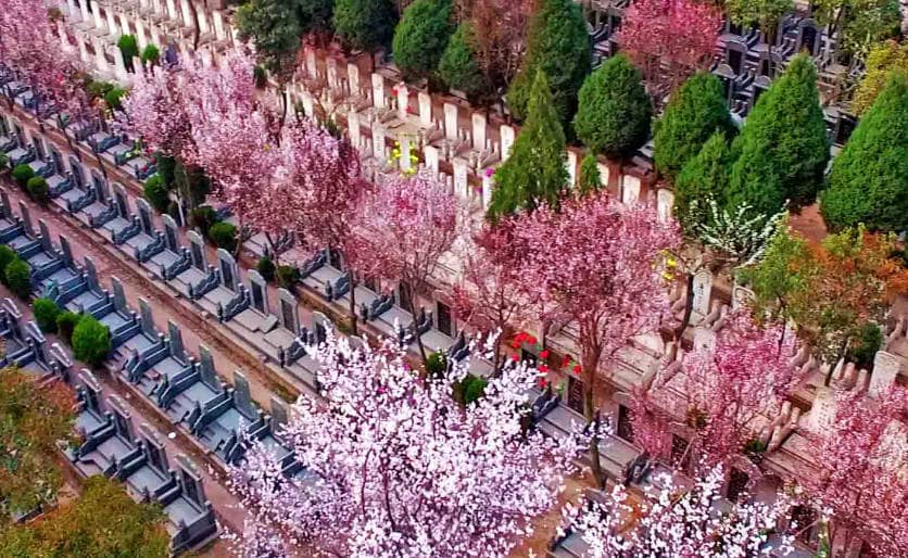 西安鳳棲山墓園是否提供預(yù)約祭掃服務(wù)？