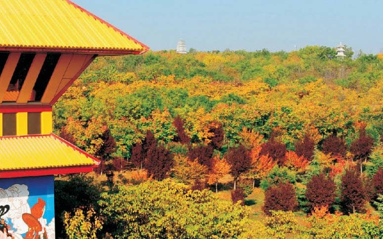 西安鳳棲山墓園為客戶提供哪些便捷的交通服務？