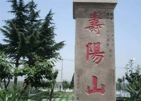 壽陽山公墓有哪些墓型選擇？