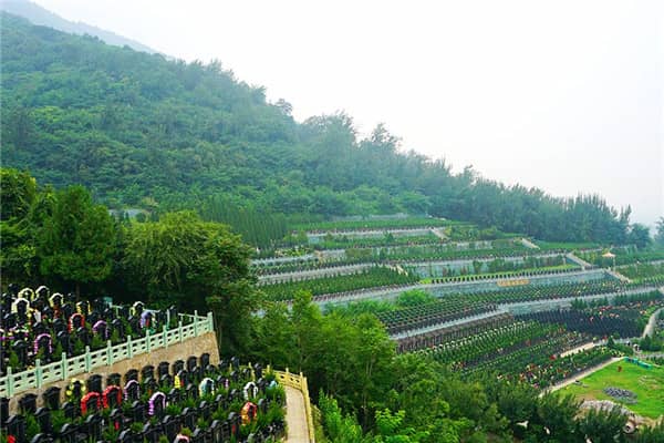 西安九龍山公墓中的九真臺墓區(qū)有何特別之處？其名稱背后有何傳說或寓意？