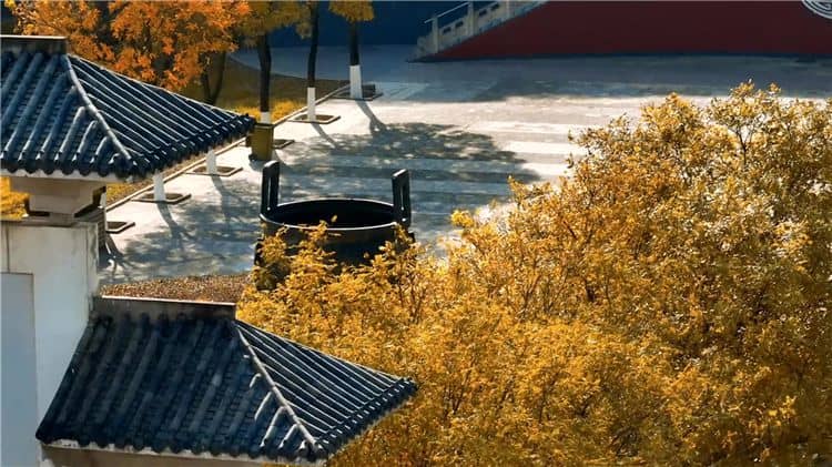 西安霸陵陵園新區(qū)如何體現(xiàn)對(duì)逝者的尊崇和敬意？