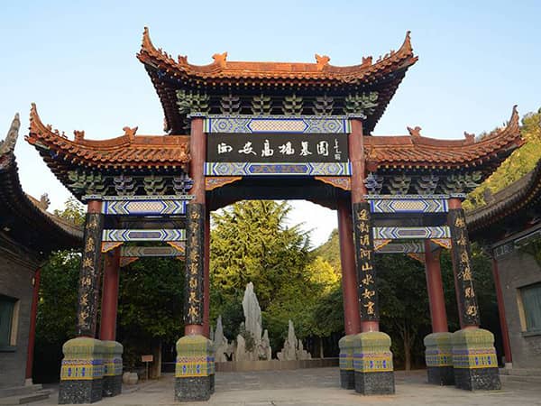 西安市高橋墓園是否提供長期維護和管理服務？