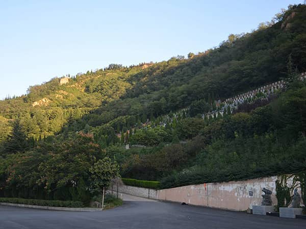 西安白鹿原公墓與西安高橋墓園在地理位置上各有哪些優(yōu)勢？