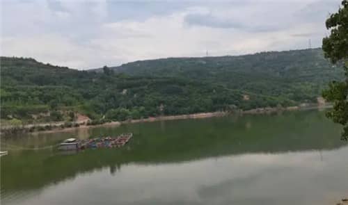 高橋墓園的立碑選項有哪些區(qū)域，各自有何特色？