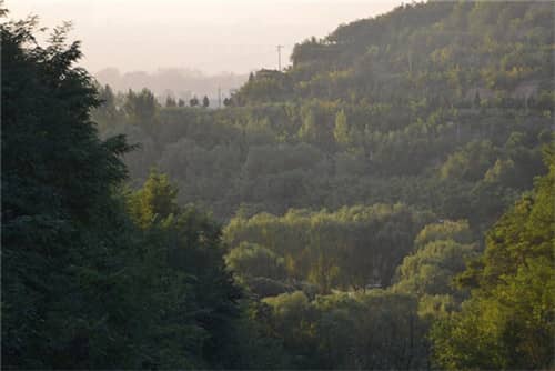西安高橋墓園情況，家園的延續(xù)