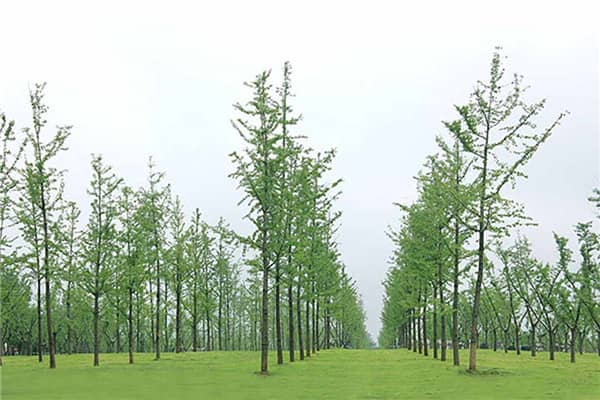 西安墓園中，哪些墓園在提供個(gè)性化商品和服務(wù)方面做得比較出色？