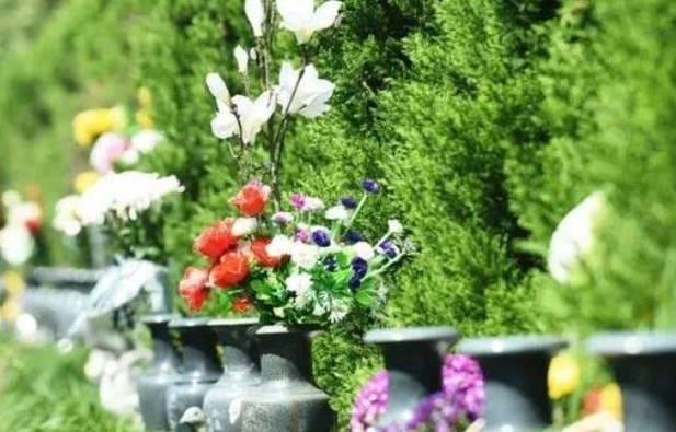 西安霸陵墓園新區(qū):政府重點(diǎn)打造的現(xiàn)代化生態(tài)墓園典范